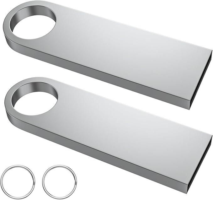 ABLAZE 4GB Flash Drive 2 Pack, Metal USB 2.0 Thumb Drives with Keychains USB Stick Pendrive (Sliver)