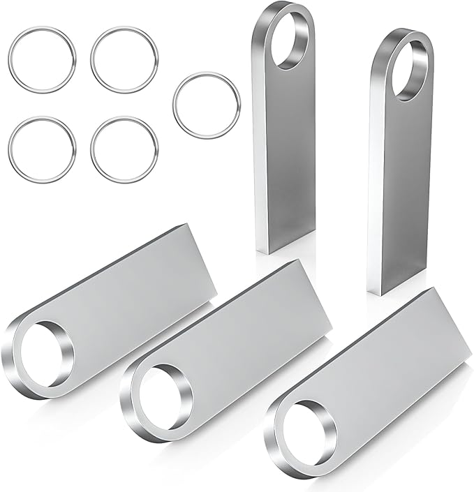 ABLAZE 8GB Flash Drive 5 Pack, Metal USB 2.0 Thumb Drives with Keychains USB Stick Pendrive (Sliver)