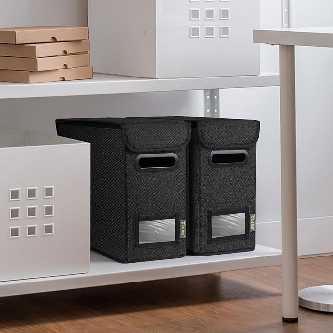 BALEINE File Organizer Box with Lid, Collapsible File Folder Organizer with Plastic Slide, Hanging File Folder Box for Office Document Storage (2 Pack, Black, S)