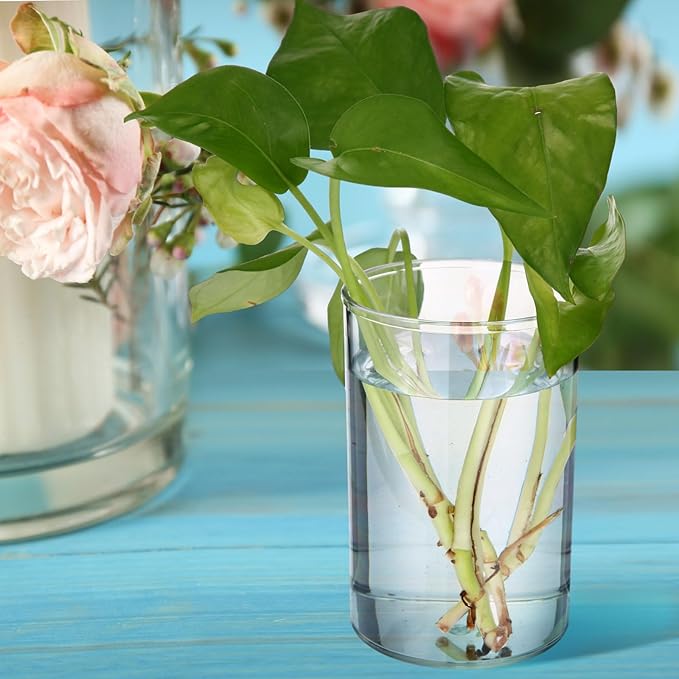 Crtiin 20 Pack Clear Acrylic Pen Holder Makeup Brush Round Pencil Holder for Desk Pen Cups Desk Organizers and Storage Desktop Stationery Organizer for Office School Home Supplies