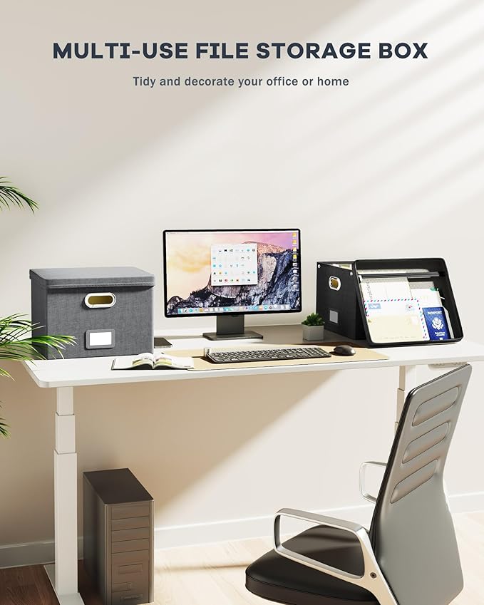 Oterri File Organizer Box with Lid,Large Hanging Filing Box with Mesh Pocket, Document c for Letter Files, Portable Storage Case with Smooth Sliding Rail for Office&Home (1 PCS, Black)