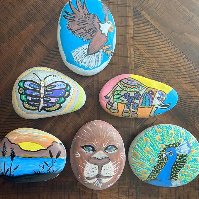 12 Colors Waterproof Dual Tip Acrylic Paint Pens, Dot & Fine Tip Premium Coloring Drawing Markers Set for Wood, Rock Painting, Canvas, Glass, Ceramic Surfaces and DIY Crafts Making Art Supplies