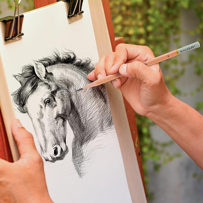 KALOUR 25-Piece Professional Sketch Pencil Set with Matte and Regular Pencils - Includes Vinyl Eraser, Kneaded Eraser, Sharpener, Pencil Extender and Blending Stump - Ideal for Artists and Beginners