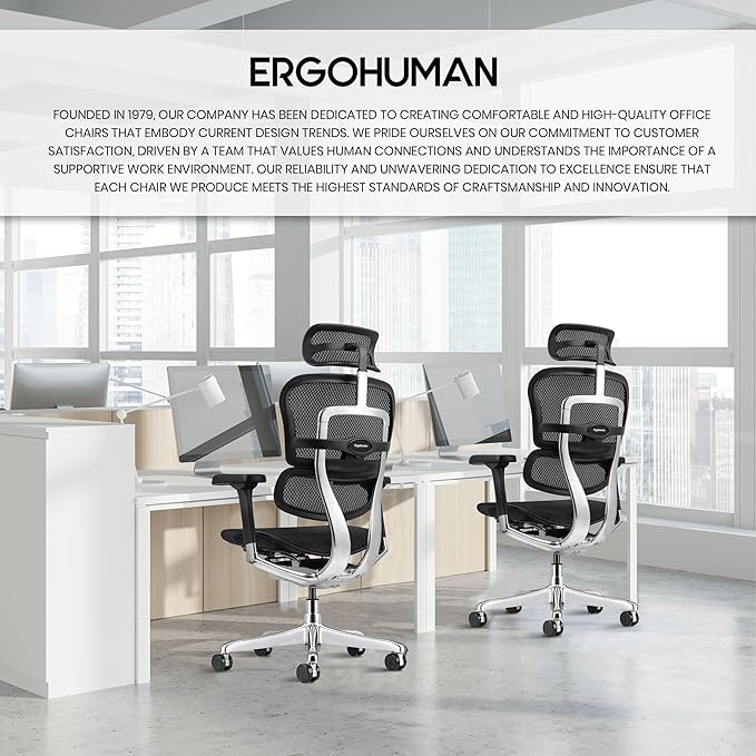 Ergohuman Eurotech ME7ERG GEN2 High Back Mesh Office, Computer, or Gaming Chair w/Tilt Tension Control & Lock, Back Angle/Height, Swivel Arms, Seat Height,/Depth, and Arm Height Adjustments, Black