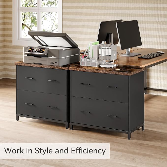 LITTLE TREE 2 Drawer File Cabinet for Home Office, 30.7-Inch Lateral Office Cabinet for A4 and Letter Size Files, Printer Stand, Storage Cabinet Organizer, Rustic Brown + Black