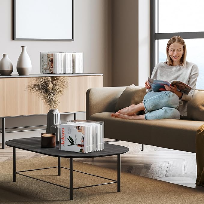 File Organizer for Desk - This Acrylic Storage Box is great for Office Organization - Its Modern Acrylic Magazine Holder makes a Great Gift for Home/Work Space