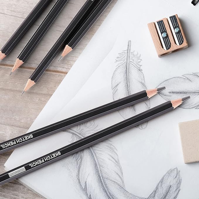 PANDAFLY Professional Drawing Sketching Pencil Set - 12 Pieces Graphite Pencils(14B - 2H), Ideal for Drawing Art, Sketching, Shading, Artist Pencils for Beginners & Pro Artists