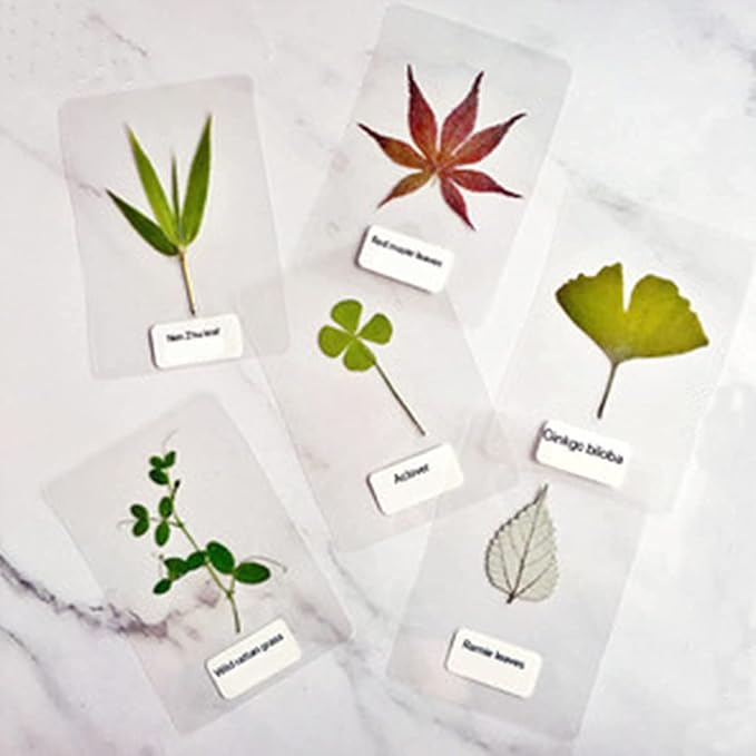 Coopaty Thermal Laminating Pouches, 8.9 x 11.4 Inches, 3mil 500Pack, Clear, Letter Size