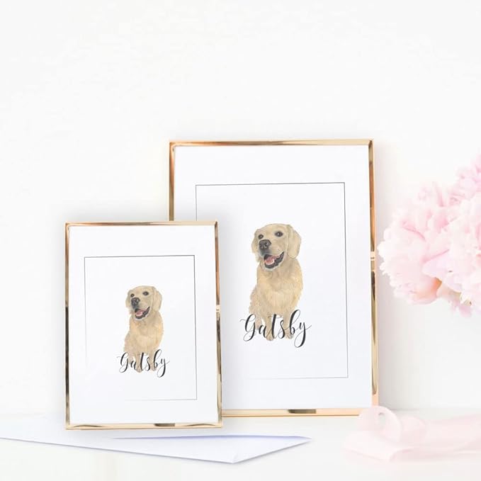 AMAZINK 3 Pack Compatible Inkjet Cartridges Pack 962XL. Includes Cyan, Magenta and Yellow Cartridges. Works Well with Officejet pro 9015e, 9025e, 9010, 9020, 9012, 9013, 9014 Printers