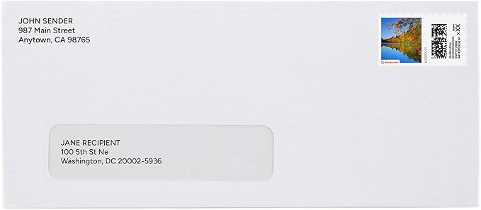 Fall River NetStamps 1200-Pack (50 Sheets) Printable Postage Labels (Stamps.com Subscription Required) - Print Approved Postage - Inkjet & Laser Printers - Business, Personal, Home