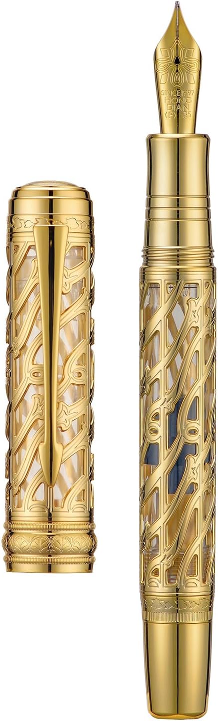 Hongdian A6 Piston Fountain Pen Fine Soft Nib, Golden Hollow Skeleton & Transparent Resin Pen with Metal Case Set
