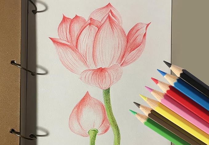 SKKSTATIONERY 288Pcs Colored Pencils, Coloring pencils Pre-sharpened, Back to school, 12 Colors, 12pcs/box, Total 288Pcs Color pencil set