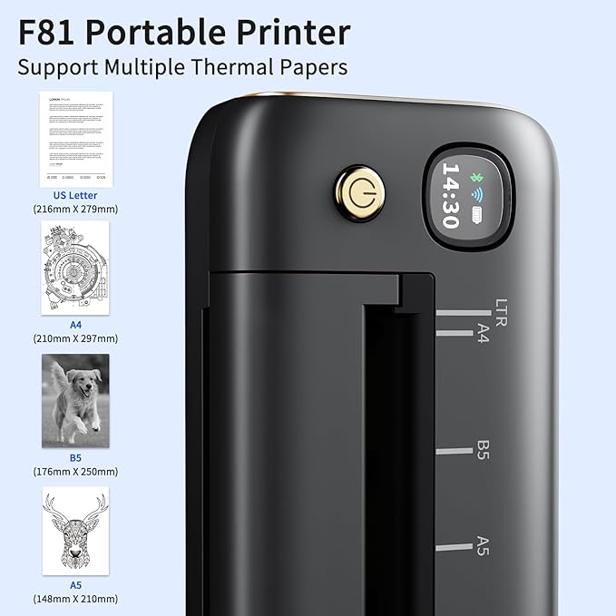 Rongta Portable Printers Wireless for Travel, WiFi & Bluetooth Mobile Printer, Thermal Inkless Printer for School/Office/Home Use, Compatible with Android,iOS & Laptop (Gray)