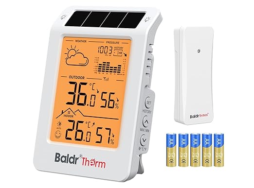 BaldrTherm Wireless Weather Station, Dual-Zone Indoor & Outdoor/Childroom Temp by BaldrTherm
