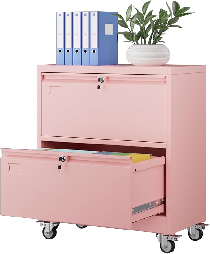 Aobabo Metal 2 Drawer Lateral File Mobile Cabinet with 2 Lock, File Cabinet with Wheels and Adjustable File Bars for Office, Home, for Letter/Legal Size, Pink, Assembly Required