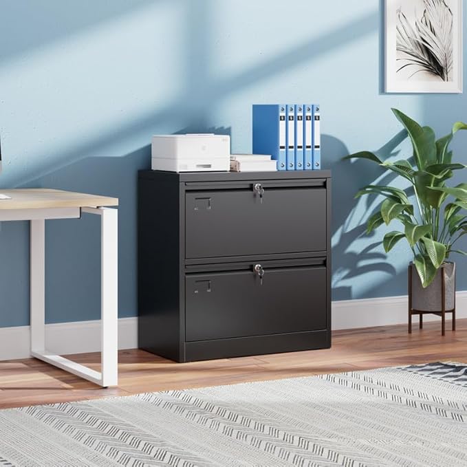 Aobabo Lateral File Cabinet 2 Drawer,Lockable Metal Filing Cabinet, Suitable for Home Office School Hanging Files Letter/Legal Size,Required-Assembly,Black