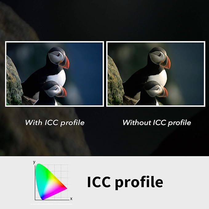 Plustek OpticFilm 8200i AI - 35mm Film & Slides Scanner. IT 8 Calibration Target + SilverFast Ai Studio 9, 7200 dpi Resolution 64Bit HDRi , Mac/PC