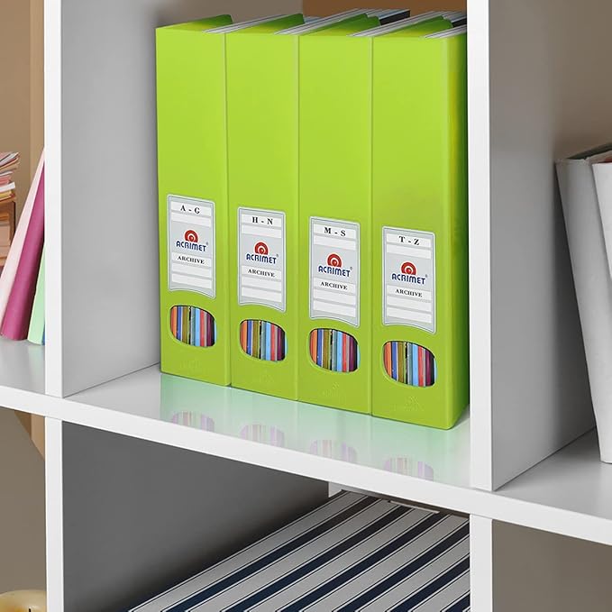 Acrimet Magazine File Holder, Durable Rack, Space-Saving Organizer (Plastic) (Green Citrus Color) (2 Pack)