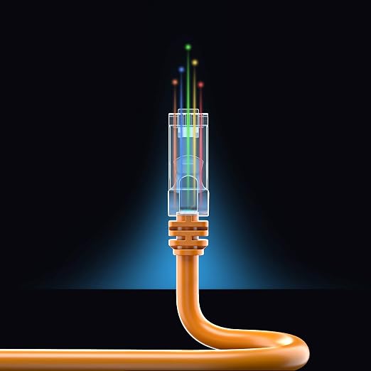 Maximm 250 ft Cat 6 Ethernet Cable - Image 8