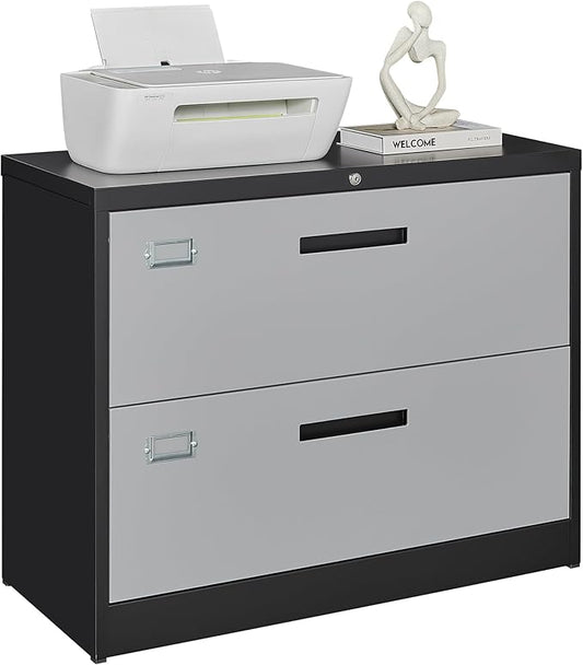Letaya File Cabinet with Lock-Lateral 2 Drawer Metal Filing Cabinets-Organization Storage Cabinets for Home Office-Hanging Letter/Legal/F4/A4 Size (2 Drawer-Grey Black)