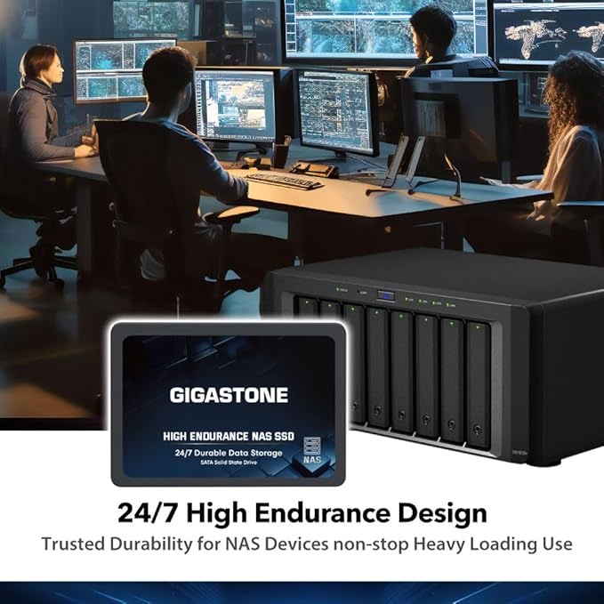 Gigastone 4TB NAS SSD Drive (2-Pack) 24/7 Durable High Endurance RAID Data Storage Network Attached Storage 2.5" SATA Internal Solid State Hard Drives