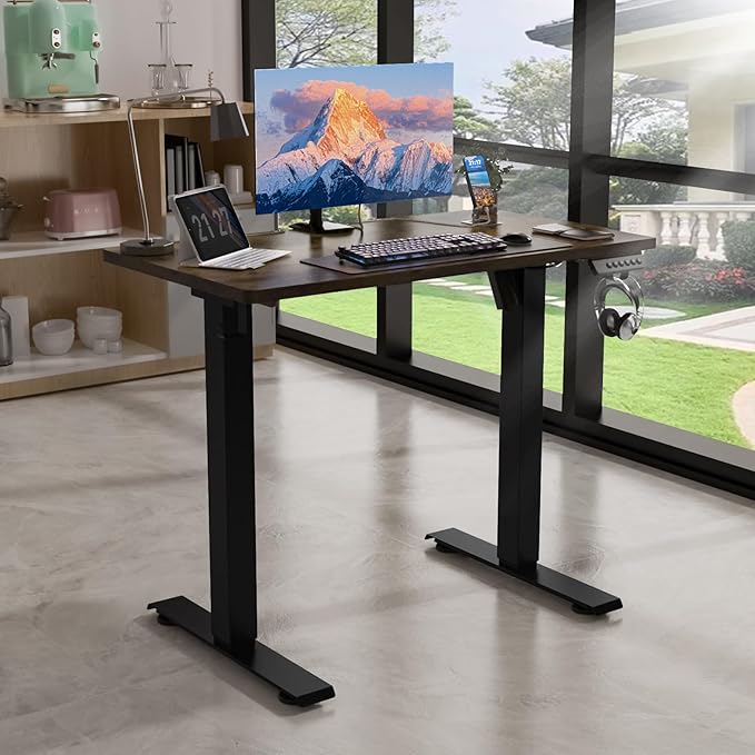 35 * 20 Electric Standing Desk, Adjustable Height Sit Stand Up Desk, Motorized Home Office Computer Gaming Workstation Desk