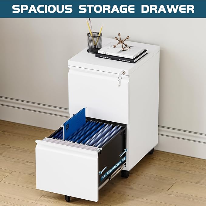 MIIIKO 2 Drawer File Cabinet with Lock, Home Office Filing Cabinets on Wheels, Under Desk 2 Drawers Storage for Legal/Letter/A4 Files,Fully Assembled