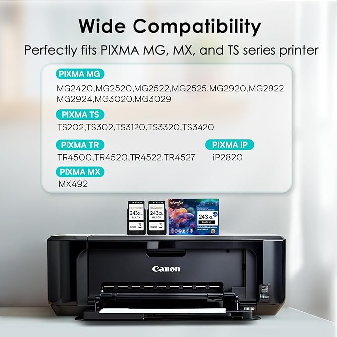 243XL Black Compatible Ink Cartridge Replacement for Canon 243 243XL PG-243 PG 243 XL Black Ink Cartridges for TR4520 TR4522 MG2522 MX490 MX492 TS3320 TS3120 TS202 MG2922 Printer (2-Pack)