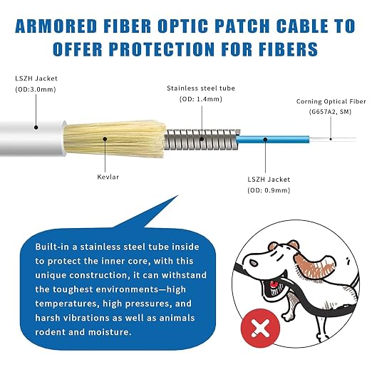 30ft SC to SC Fiber Optic Patch Cable, Armored Single Mode SC/UPC to SC/UPC - Image 2