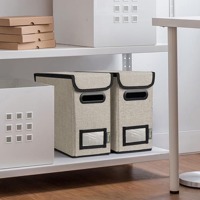 BALEINE File Organizer Box with Lid, Collapsible File Folder Organizer with Plastic Slide, Hanging File Folder Box for Office Document Storage (2 Pack, Beige, S)