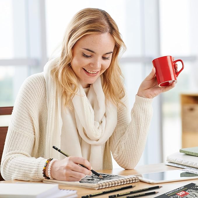 Drawing Sketching Pencil Set, 26 Pieces, Graphite Pencils (14B-4H), Charcoal Pencils, Charcoal Sticks, Blending Stump, Eraser, Sharpeners, Artist Pencils for Beginners & Pro Artists