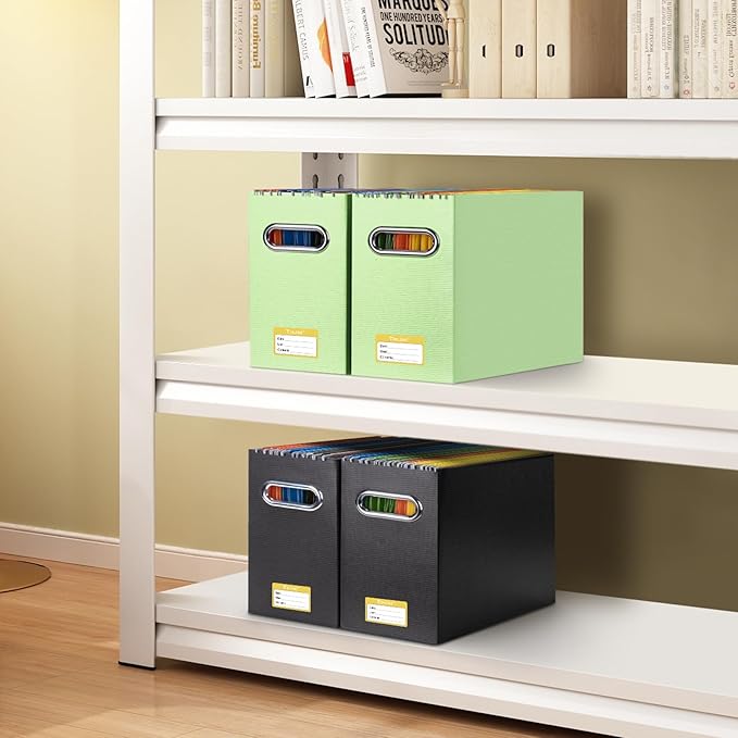 BALEINE File Organizer Box, Cardboard File Folder Organizer with Handle for Letter Size, Portable Collapsible Hanging Filing Box for Home Office Document Storage (2 Pack, Green)