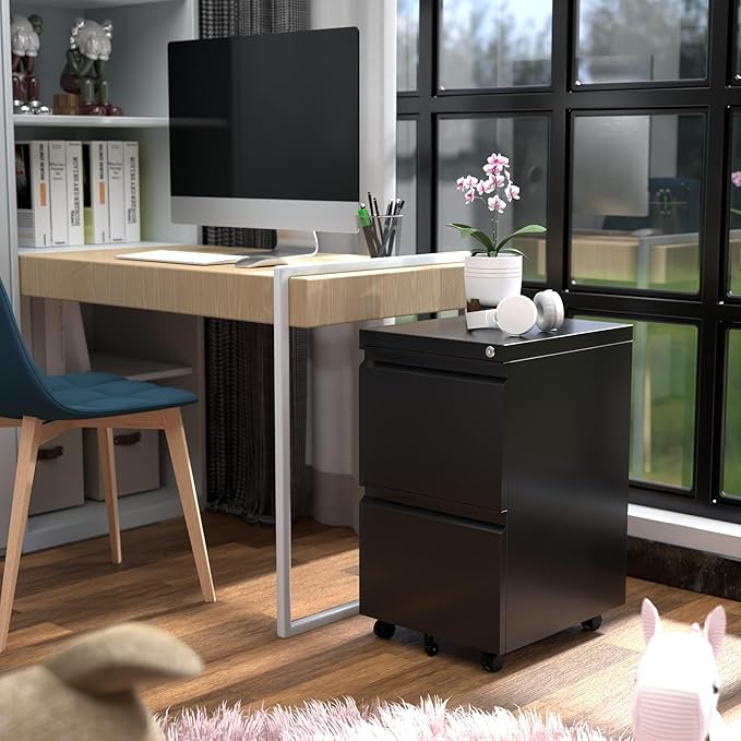 Aobabo 2 Drawer File Cabinet, Lockable Metal Filing Cabinet with Wheels for Home Office, Legal/Letter Size, Fully Assembled Except Wheels, Black