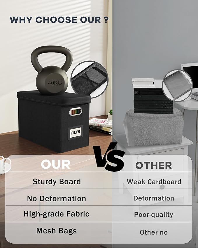 Oterri File Organizer Box with Lid, Hanging Filing File Box with Mesh Pocket, Document Organizer Box for Letter Files, Portable Storage Box with Smooth Sliding Rail for Office&Home (2 PCS, Black)