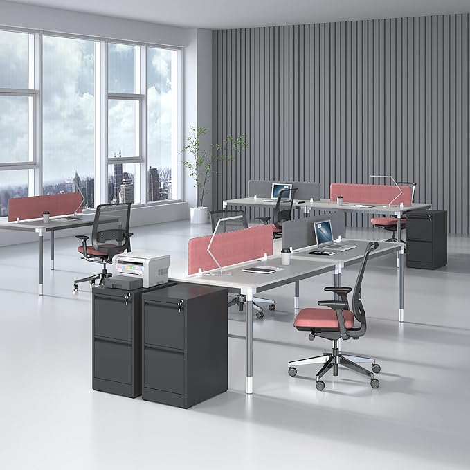 2 Drawer File Cabinet with Lock, Vertical File Cabinet with Lock, Locking File Cabinet Hanging Files for A4/ Legal/Letter,Black