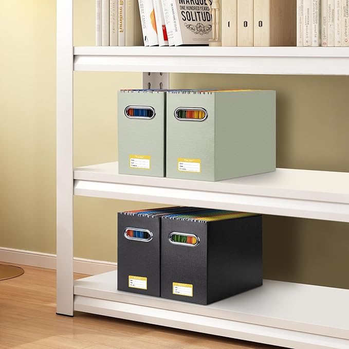 BALEINE File Organizer Box, Cardboard File Folder Organizer with Handle for Letter Size, Portable Collapsible Hanging Filing Box for Home Office Document Storage (2 Pack, Beige)