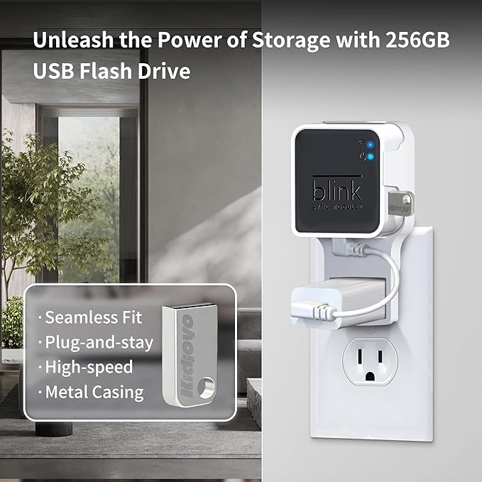 256GB Blink USB Flash Drive & Wall Mount - Image 2