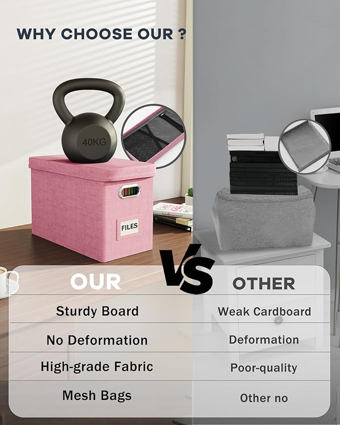 Oterri File Organizer Box with Lid, Hanging Filing File Box with Mesh Pocket, Document Organizer Box for Letter Files, Portable Storage Box with Smooth Sliding Rail for Office&Home (1 PCS, Pink)