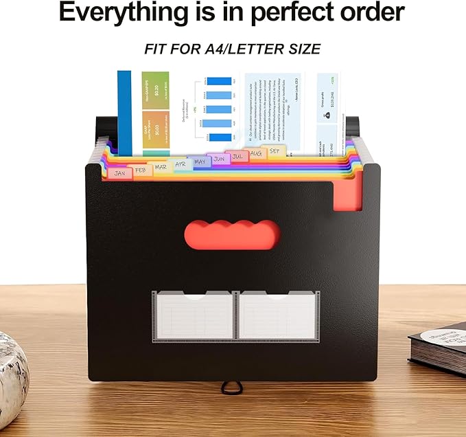 Accordion File Organizer,13 Pockets Expanding File Folder with Blank Labels,Portable Monthly Paper Bill Tax Receipt Organizer,Desktop Folders A4 Letter Paper Document Storage Organize,Black