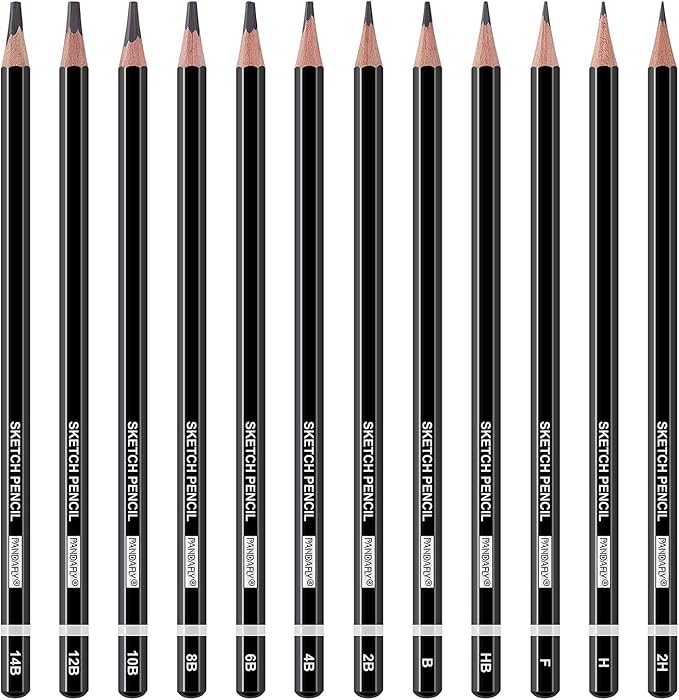 PANDAFLY Professional Drawing Sketching Pencil Set - 12 Pieces Graphite Pencils(14B - 2H), Ideal for Drawing Art, Sketching, Shading, Artist Pencils for Beginners & Pro Artists