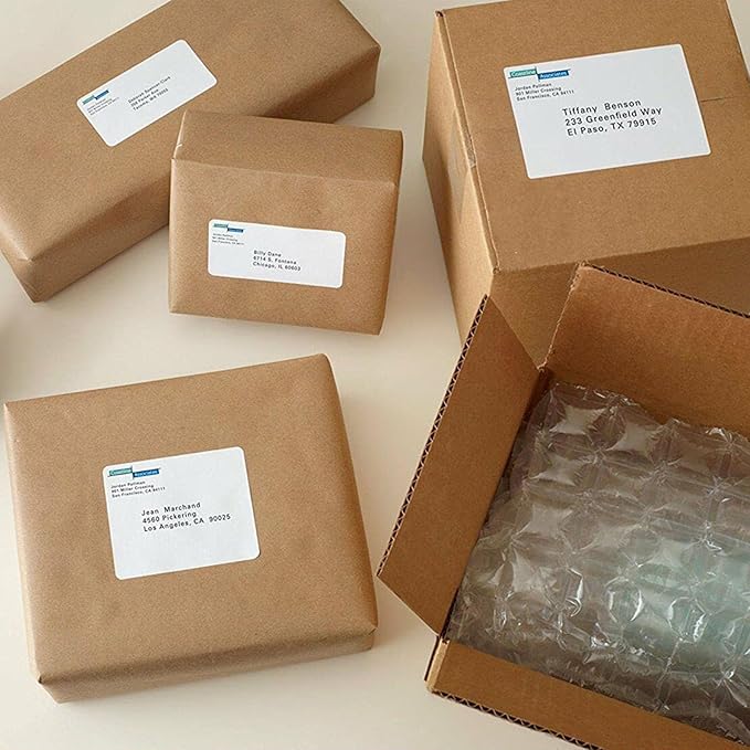 2"x4" Shipping Address Labels, FBA 10 Up Address mailing Labels, White Sticker Address Labels for Laser/Inkjet Printer (100 Sheets, 1000 Labels)