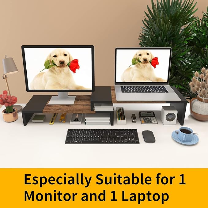 WESTREE Dual Monitor Stand - Riser 2 Shelf Computer with Adjustable Length and Angle, Stands for Monitors, Desktop Organizer PC, Computer, Laptop