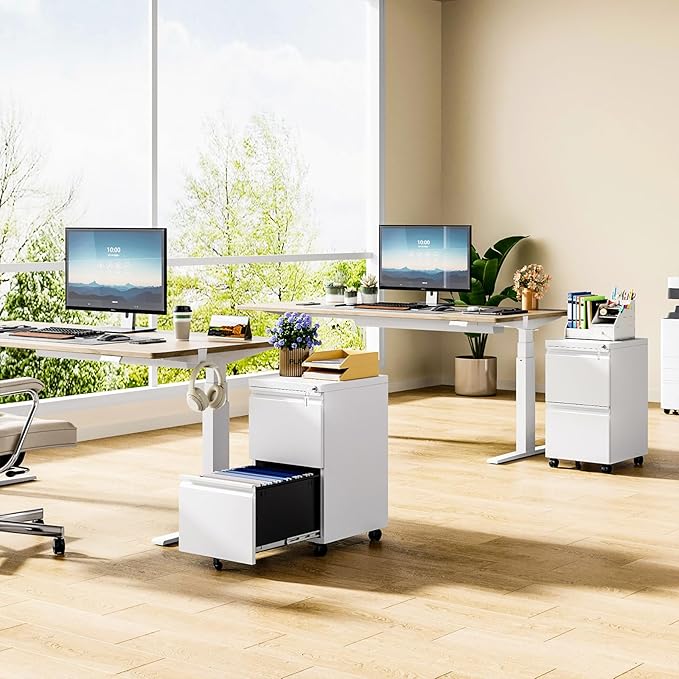 MIIIKO 2 Drawer File Cabinet on Wheels, Home Office Mobile File Drawers Under Desk, Filing Cabinets with Drawers for Legal/Letter/A4 File Folders(White),Un-Assembled