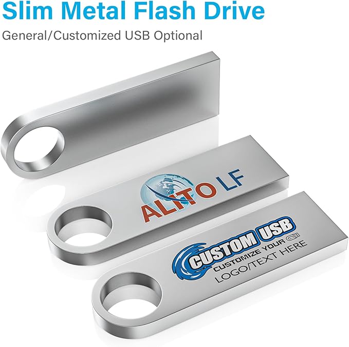 ABLAZE Custom Flash Drive 512MB 10 Pack, Personalized USB with Your Logo Metal Thumb Drives USB 2.0 Memory Stick Pendrive (Sliver)