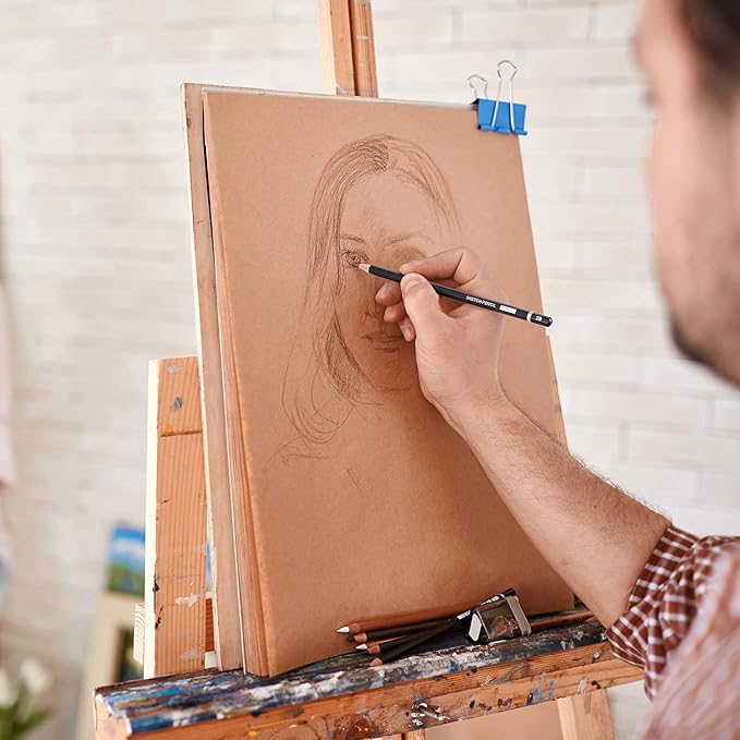 PANDAFLY Professional Drawing Sketching Pencil Set - 12 Pieces Graphite Pencils(14B - 2H), Ideal for Drawing Art, Sketching, Shading, Artist Pencils for Beginners & Pro Artists