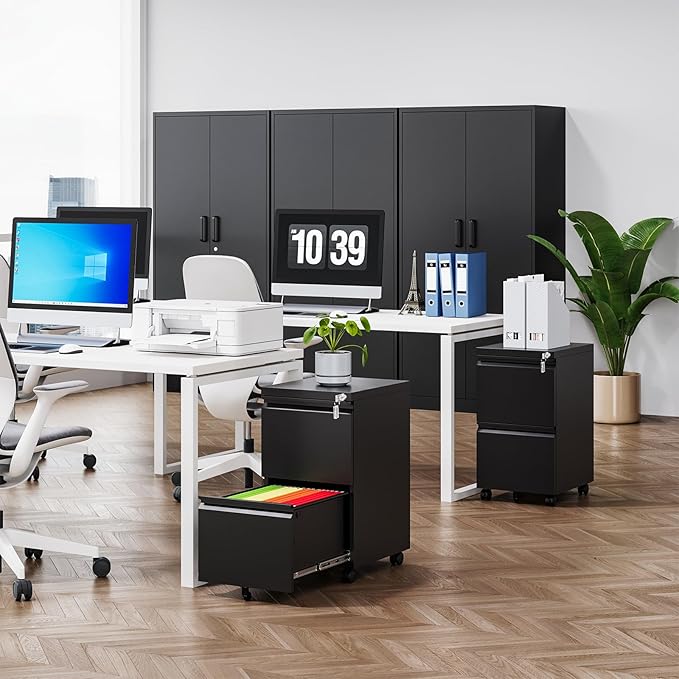 MIIIKO 2 Drawer File Cabinet on Wheels, Home Office Mobile Under Desk with Lock, Vertical Files Drawers for Legal/Letter/A4,Fully Assembled