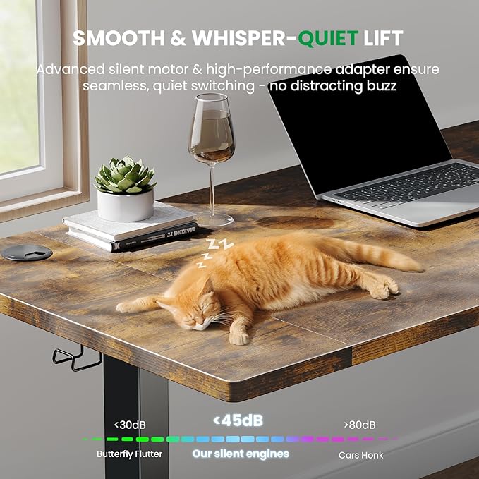 SIAGO Electric Standing Desk Adjustable - 55 x 24 Inch Sit Stand up Desk with Cable Management - 3 Memory Preset Adjustable Height Table