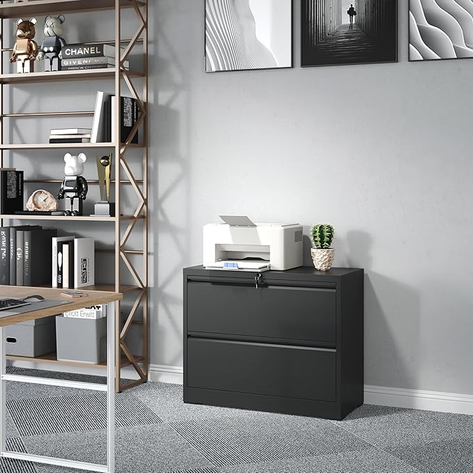 2 Drawer Lateral File Cabinet, Metal Lateral Filing Cabinet for Home Office, Filing Cabinets for Letter/Legal/A4/F4 Hanging Files (Black)