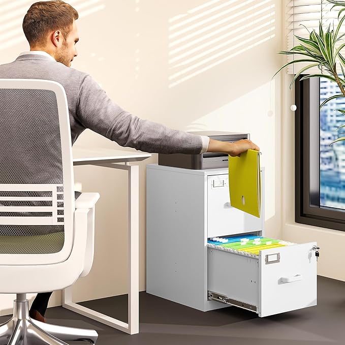 2 Drawer File Cabinet with Lock Vertical Filing Storage Office Home Steel Vertical File Cabinets for Letter Size File Cabinet Locked,Assembly Required