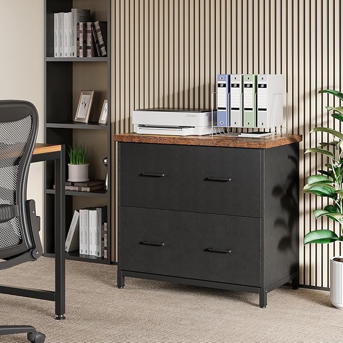 LITTLE TREE 2 Drawer File Cabinet for Home Office, 30.7-Inch Lateral Office Cabinet for A4 and Letter Size Files, Printer Stand, Storage Cabinet Organizer, Rustic Brown + Black